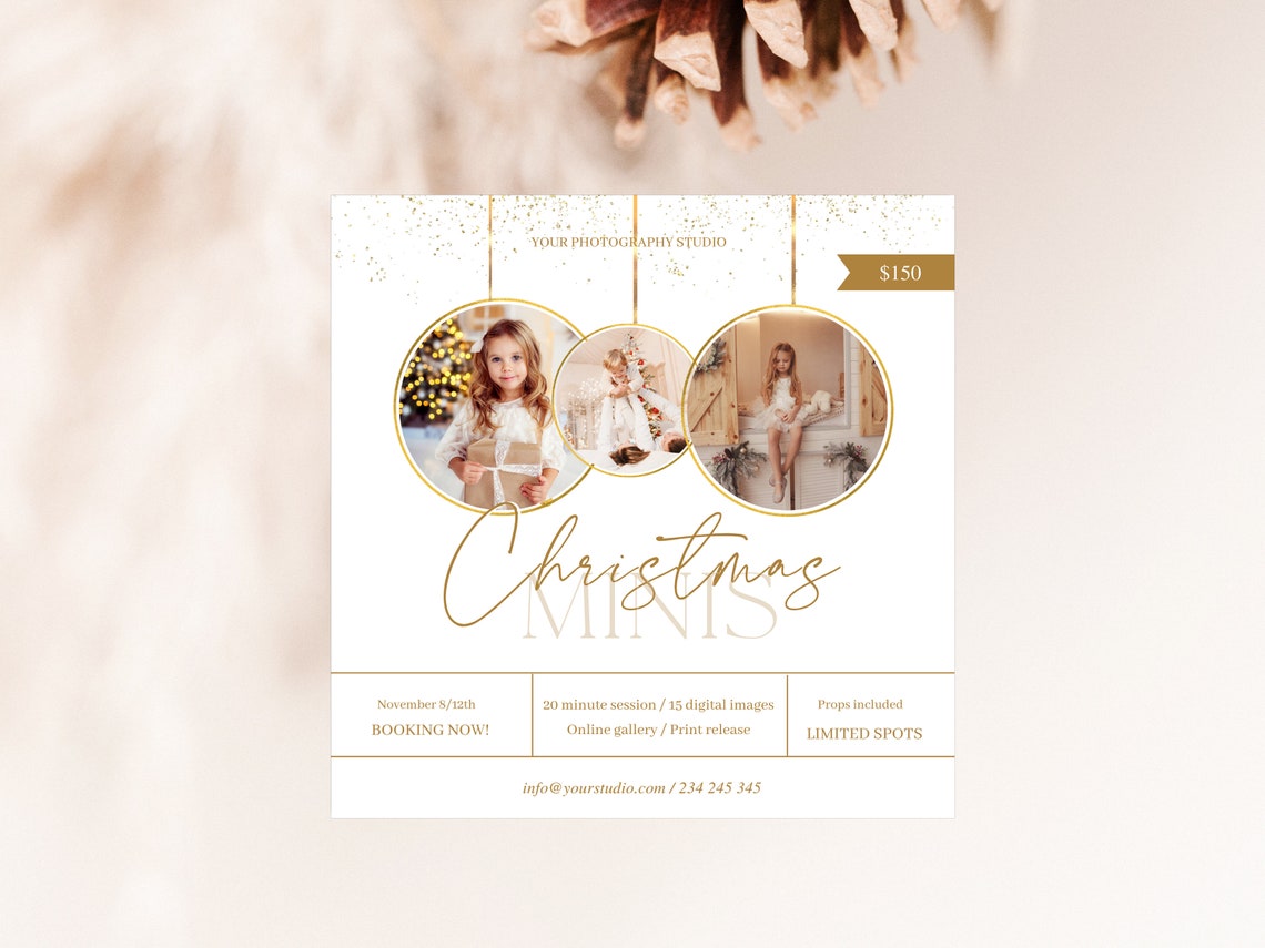 Christmas Mini Session Template