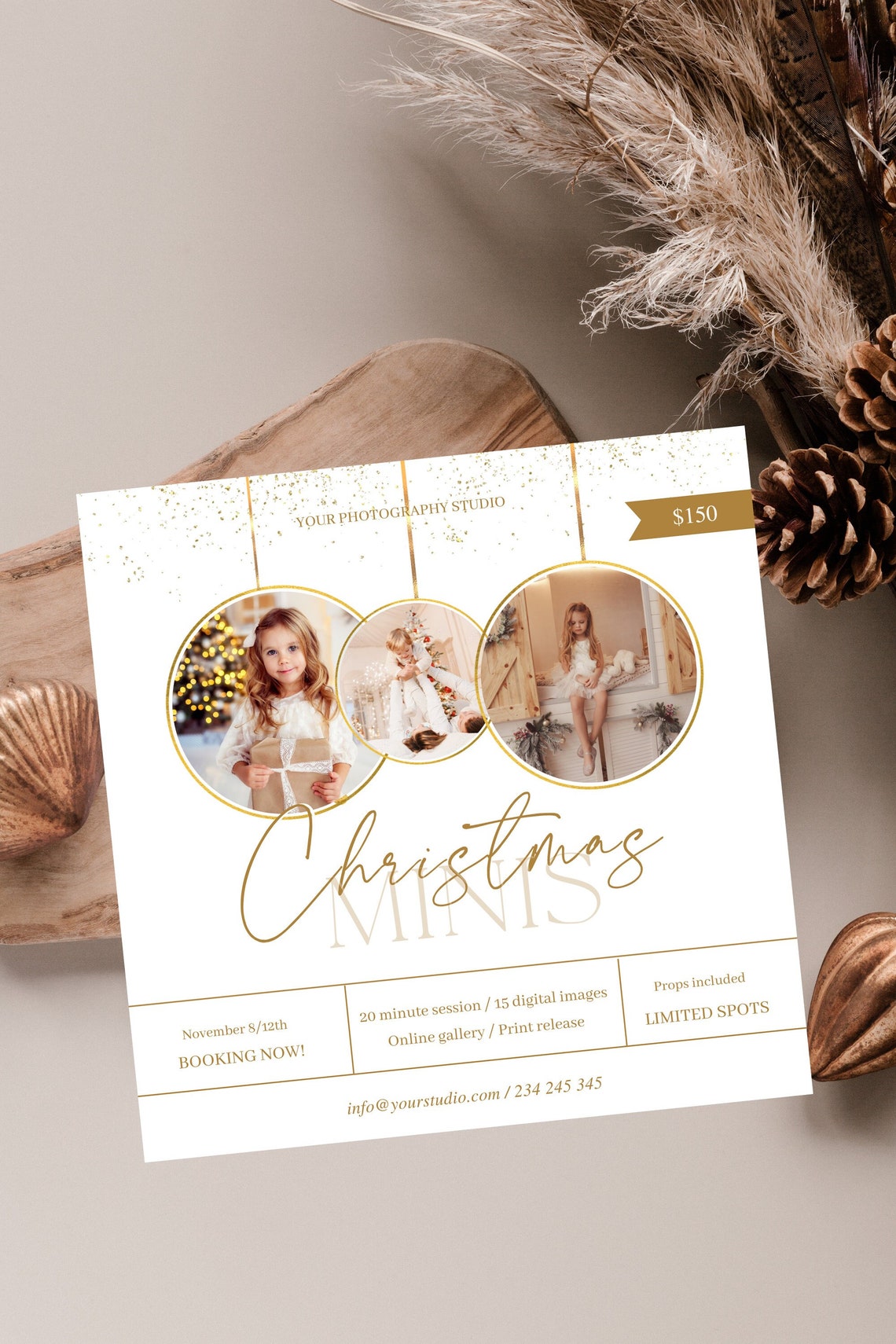 Christmas Mini Session Template